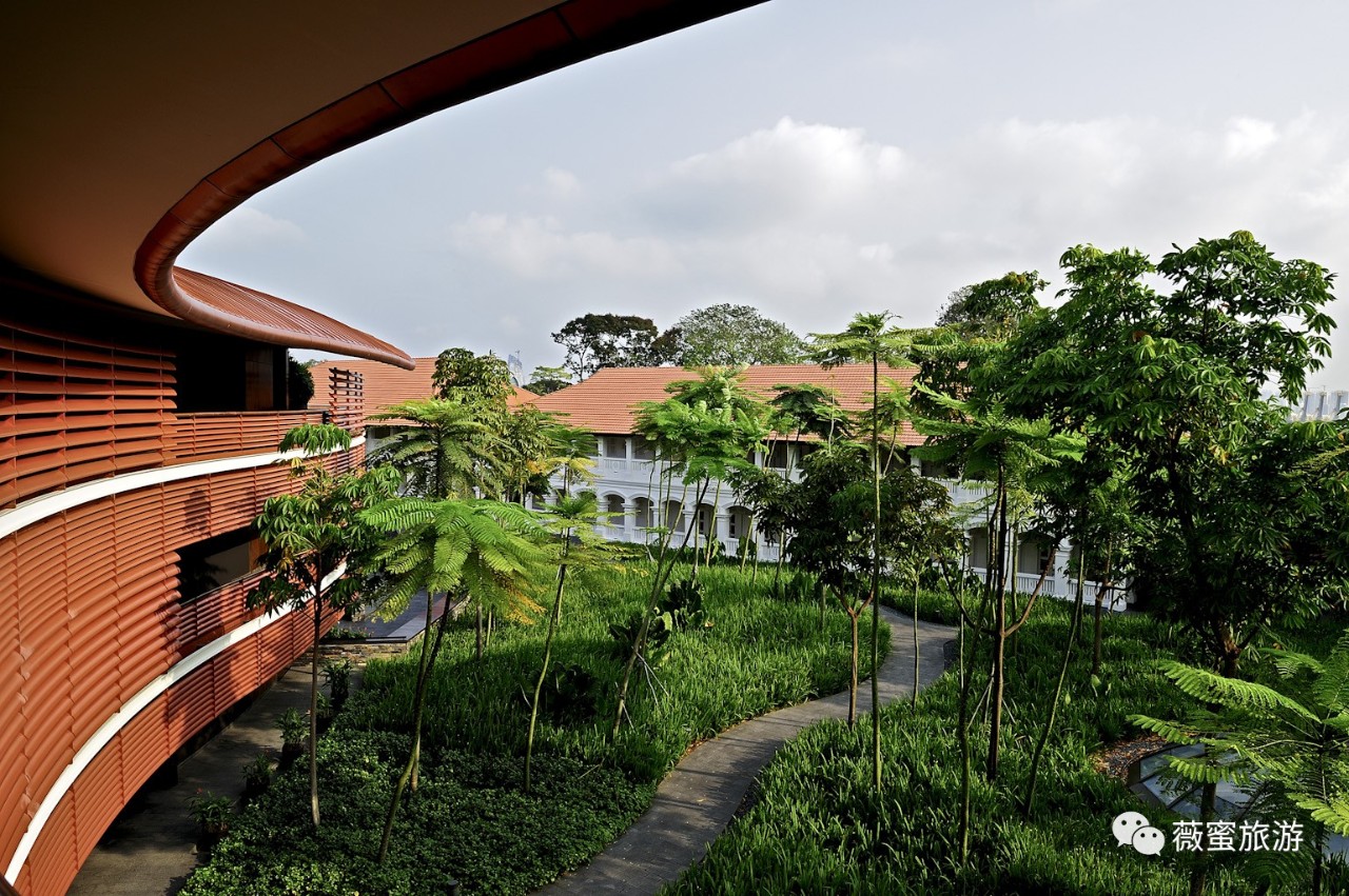 关于新加坡狮城战胜对手次轮胜利再添一城的信息